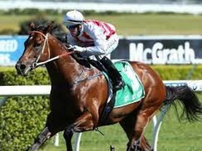 Diddles a million dollar first for Boomer and Daandine Image 2